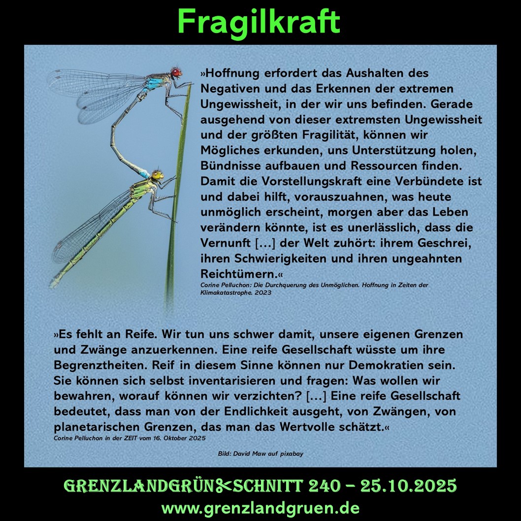 240 Fragilkraft.jpg